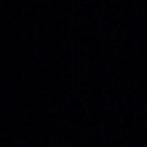 Meet your Posher, Priscilla